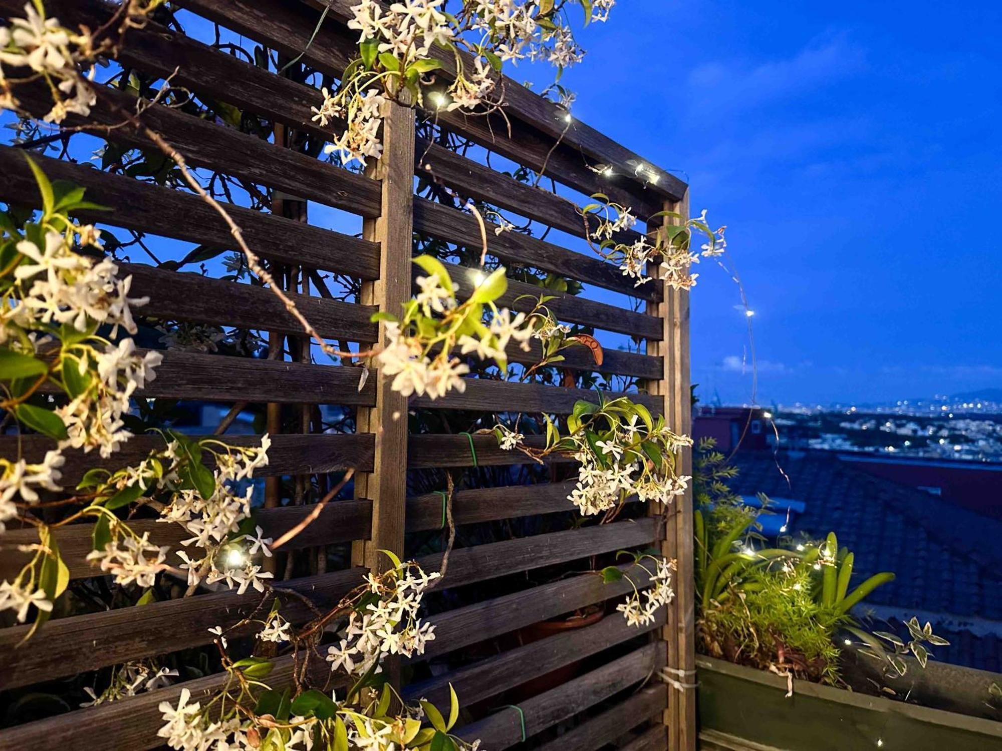 Lovely Panoramic Apartment